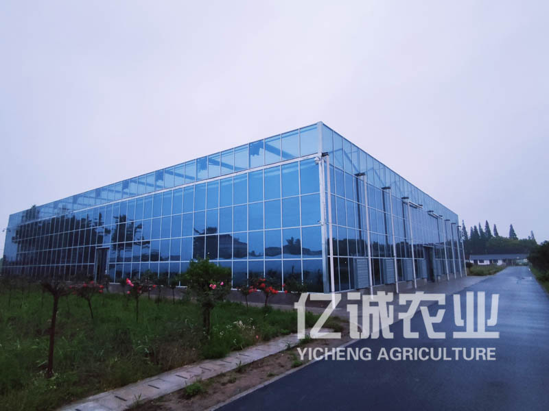 智能化玻璃溫室大棚建設廠家：讓農業生產更科技化、高效化的選擇