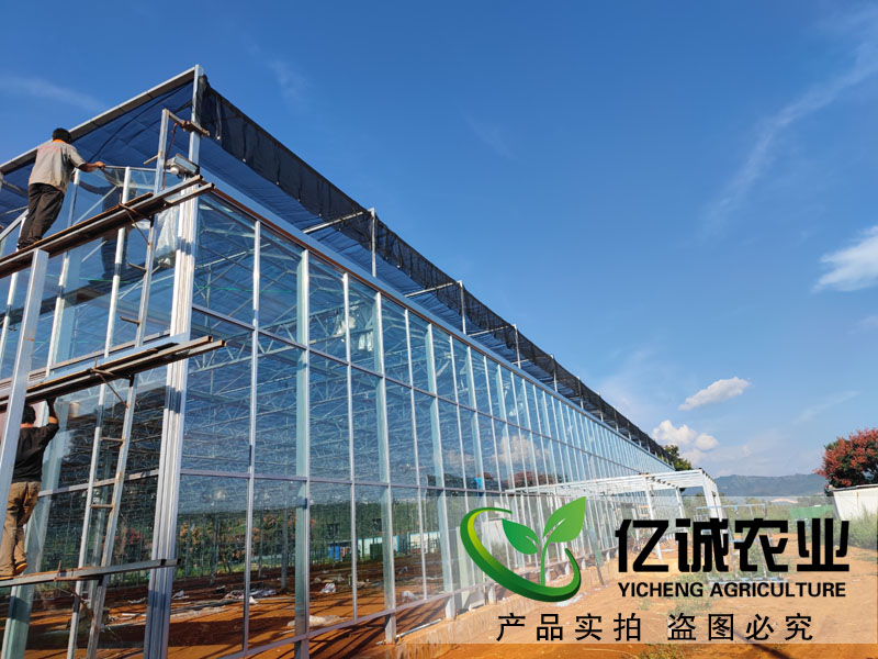 溫室大棚建設廠家蘑菇種植大棚_溫室工程安裝_玻璃溫室大棚性能特點