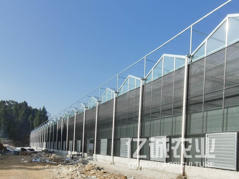 雙層薄膜連棟溫室大棚造價高不高？有哪些建造方式？