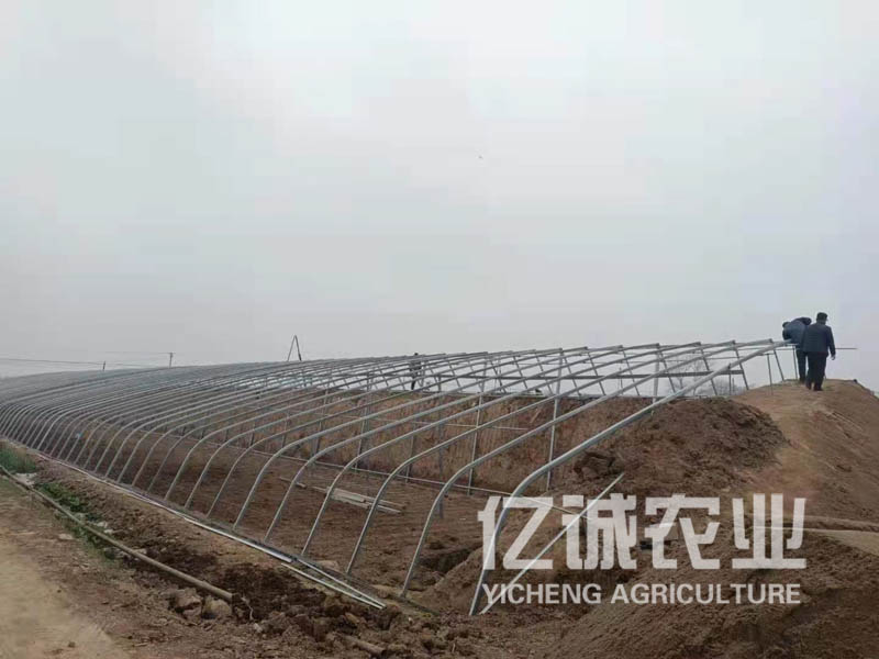 日光大棚溫室骨架改造現場