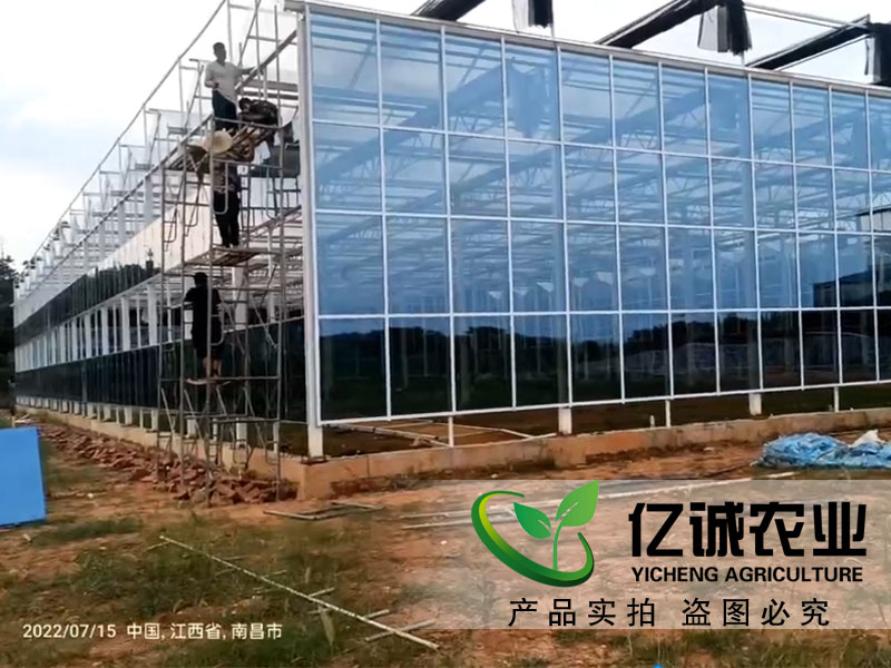 南昌玻璃溫室大棚