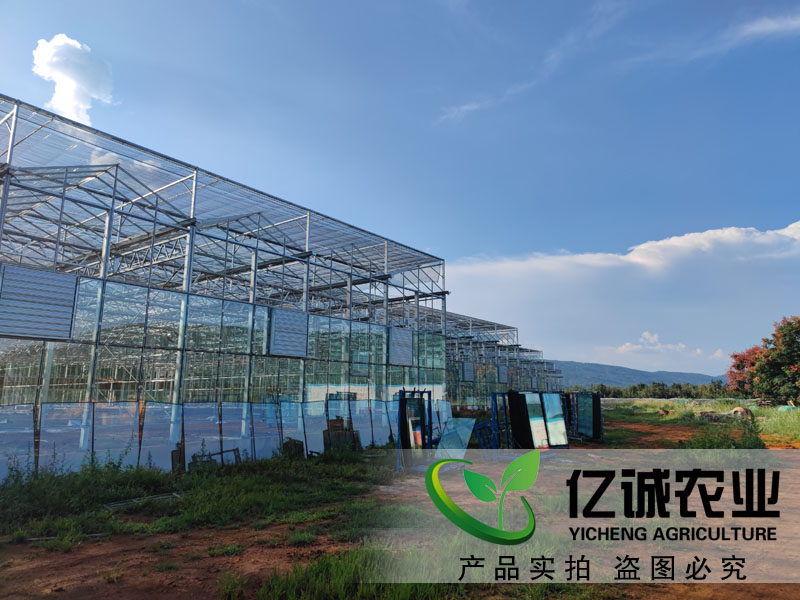 連棟玻璃溫室工程江西南昌現場