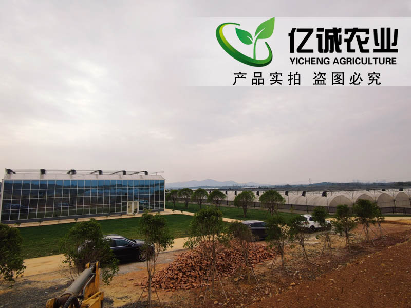 南昌溫室大棚現代園區運營