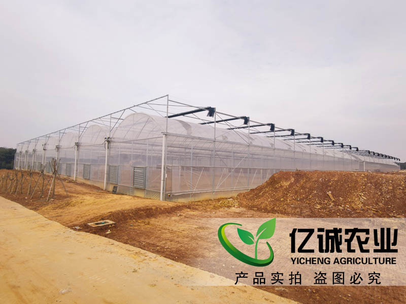 現代化薄膜連棟溫室大棚園區展示