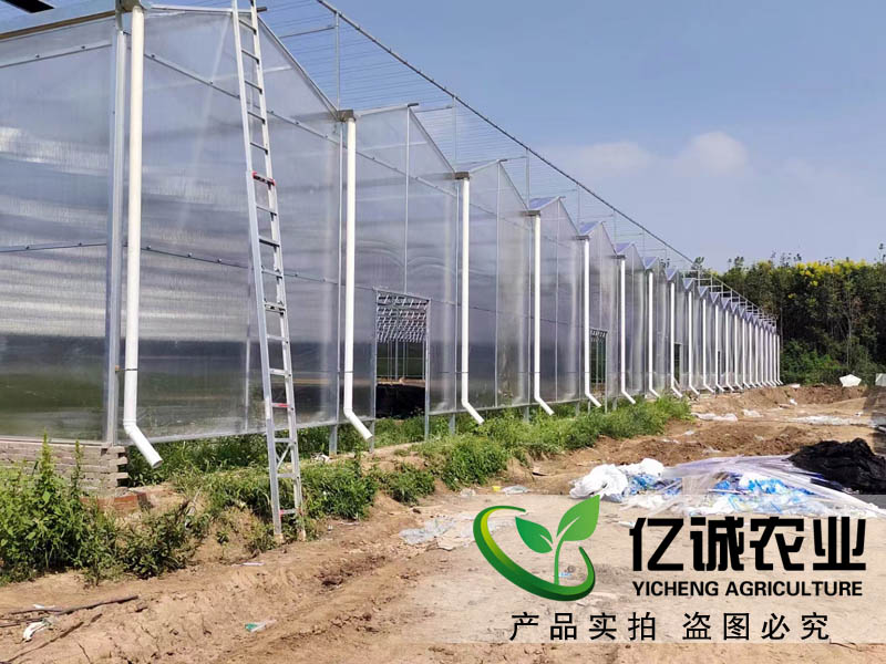 陜西花卉市場一期20000平方紋絡陽光板溫室順利完工