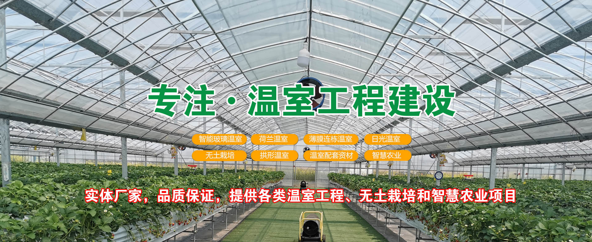 專注溫室工程建設