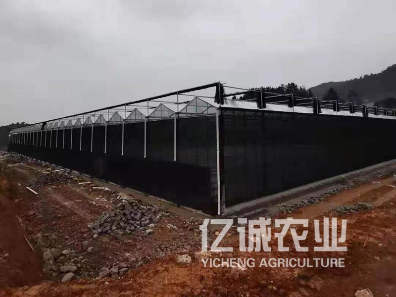 河南中牟溫室工程施工現場