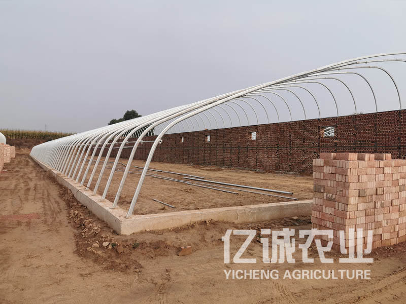 山西呂梁日光溫室大棚施工現場