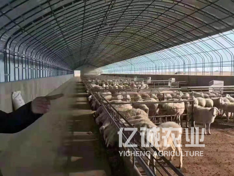 養殖溫室大棚