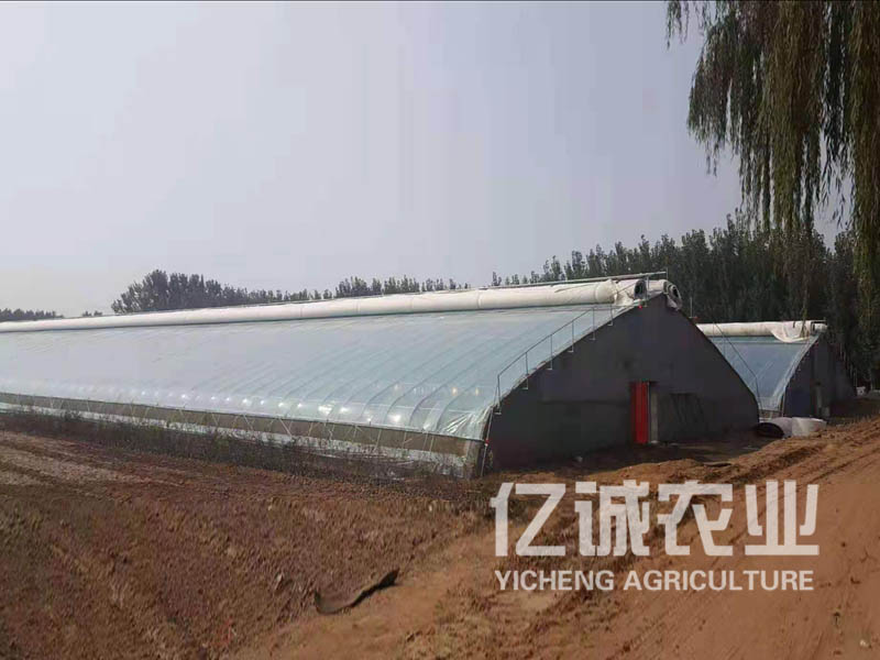 高溫拱形溫室拱棚 