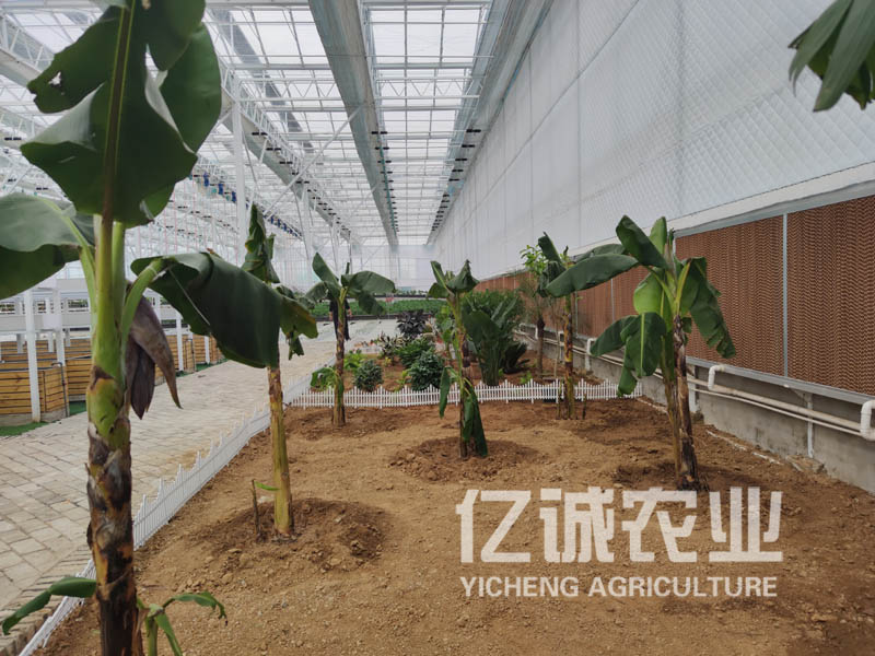 景觀大棚溫室
