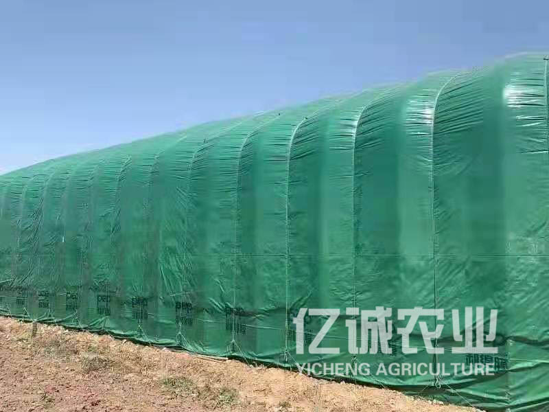 養殖溫室大棚