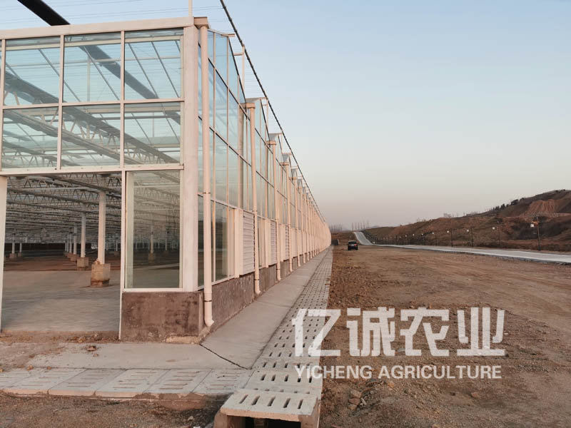 新型現代化智能溫室大棚