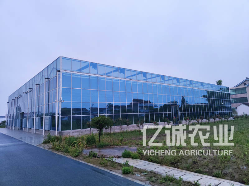 連棟溫室大棚廠家