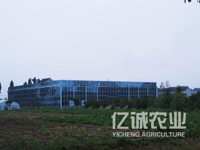 玻璃智能溫室大棚造價
