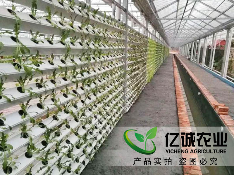 魚(yú)菜共生大棚建設(shè)