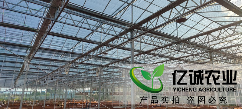 尖頂紋絡玻璃溫室大棚
